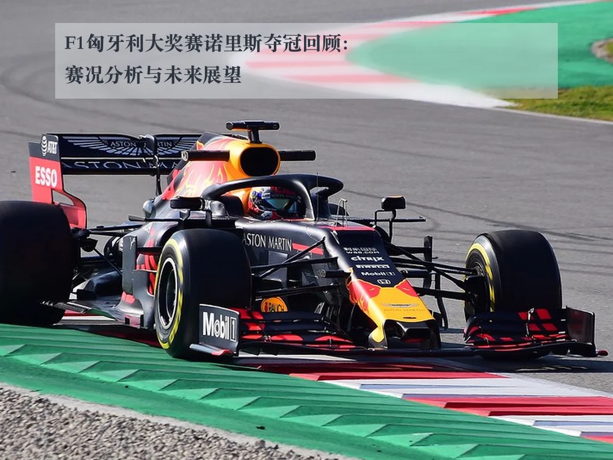 F1匈牙利大奖赛诺里斯夺冠回顾:赛况分析与未来展望