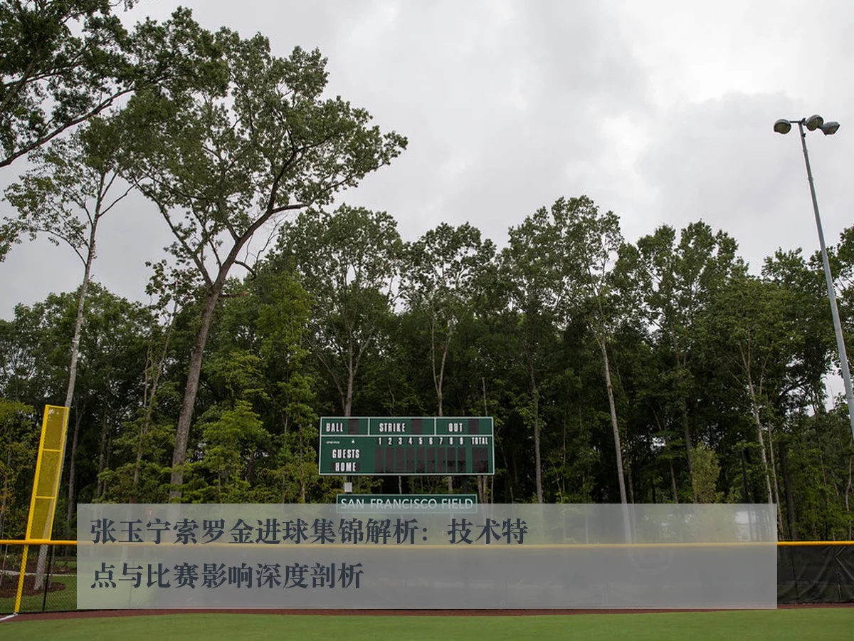 张玉宁索罗金进球集锦解析:技术特点与比赛影响深度剖析